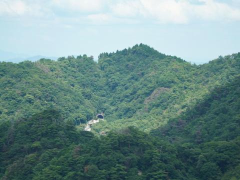 芦有道路