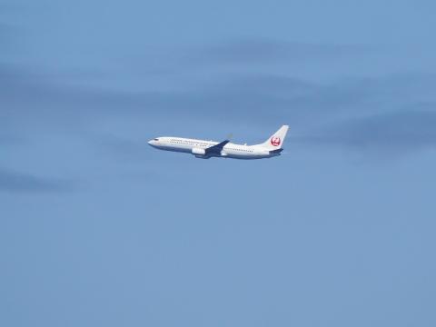 JAL B787
