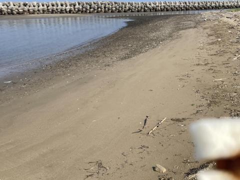福島海岸