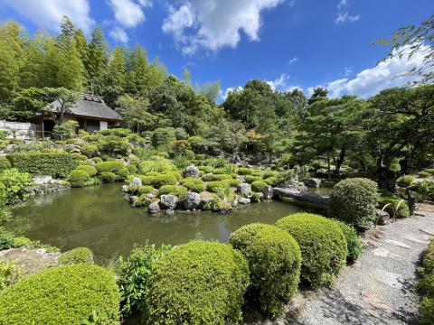 芙蓉池