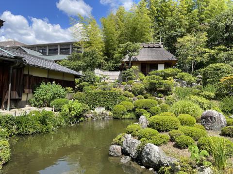 芙蓉池