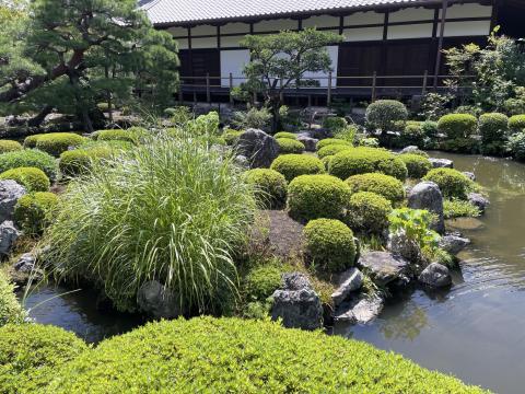 芙蓉池