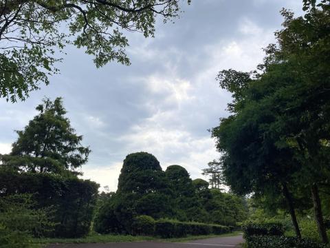 京都府立植物園