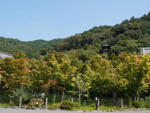 多宝塔
