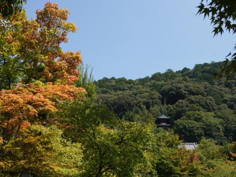 多宝塔