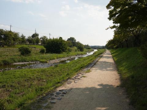 高野川右岸