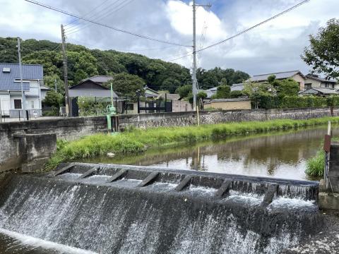 佐保川