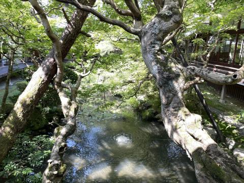 永観堂