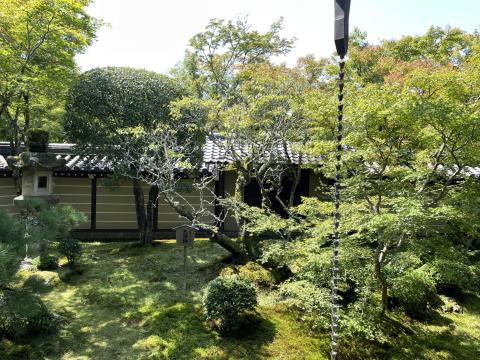 釈迦堂の庭