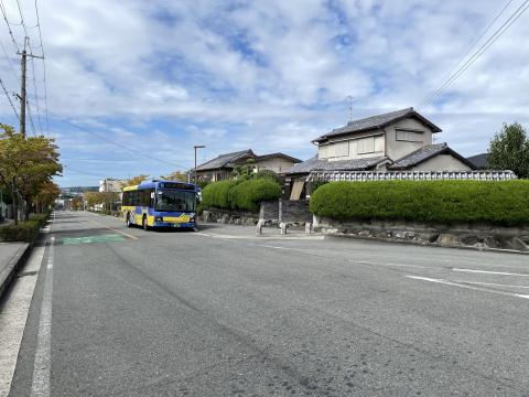 近つ飛鳥風土記の丘