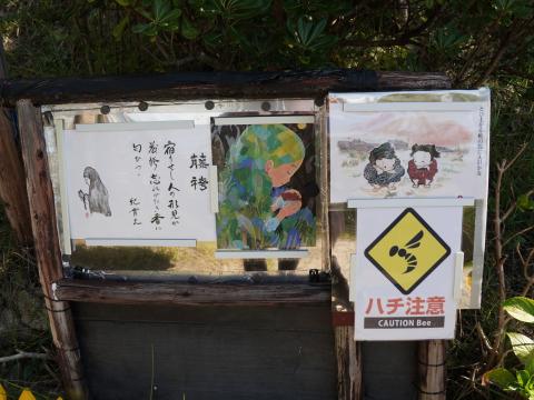 野路菊の丘