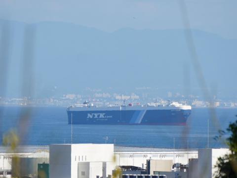 NYK ZEUS LEADER
