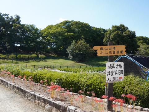 津堂城山古墳
