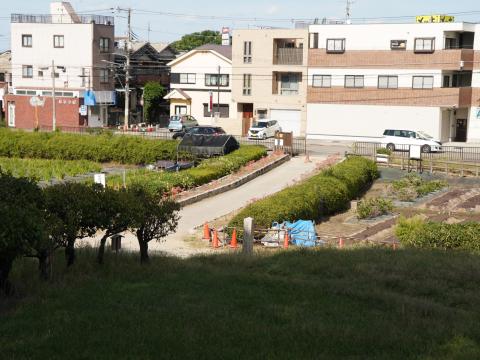 津堂城山古墳