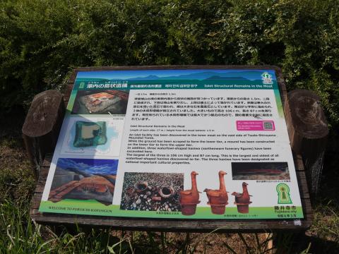 島状遺構