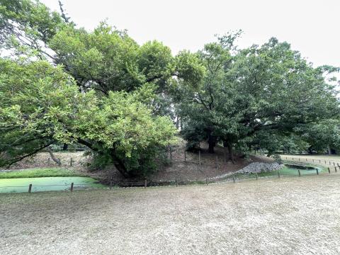 竜佐山古墳