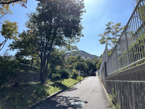 椿谷公園