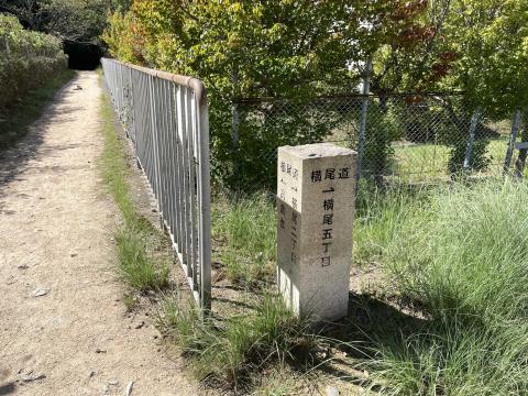横尾道