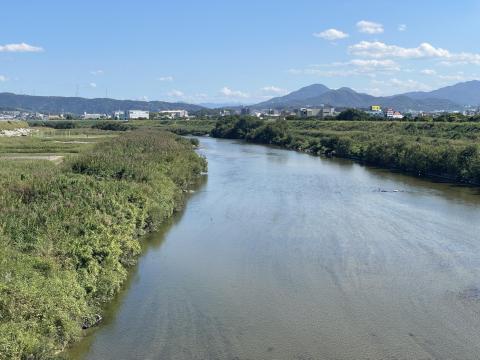 大和川