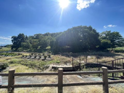 津堂城山古墳