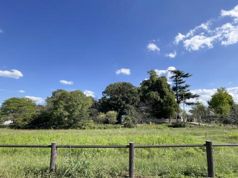 津堂城山古墳