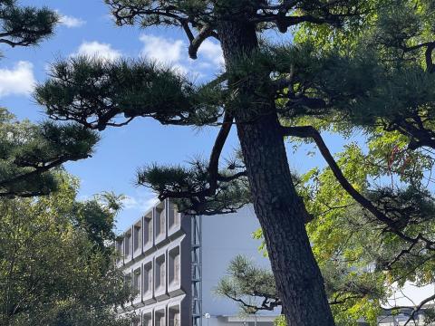 明治大阪工場