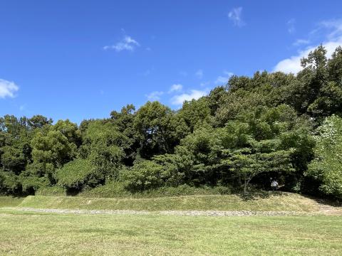 内堀から墳丘
