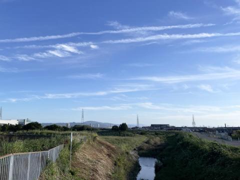 津之江公園