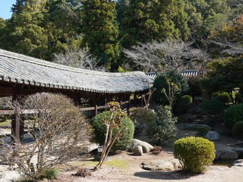 枝回廊
