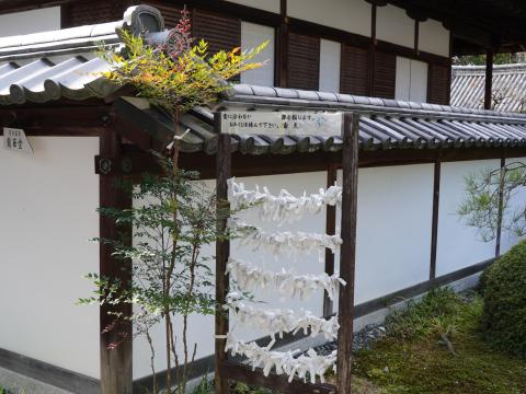 ナンテン