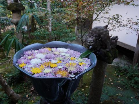 花手水