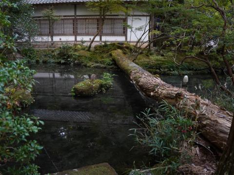法然院