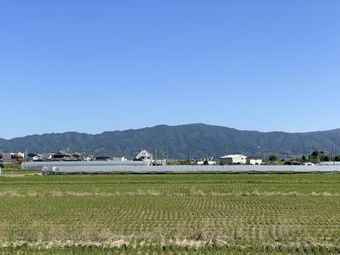 龍王山