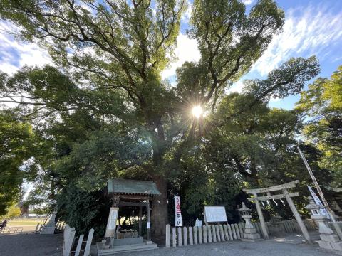 曽禰神社