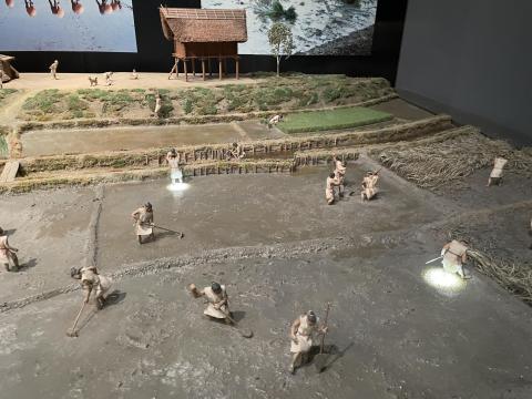 春の水田