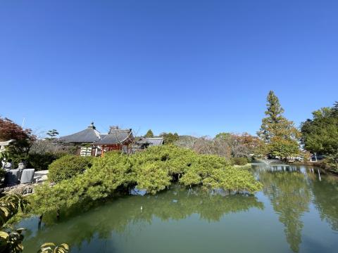 宇賀神社