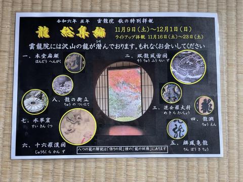 龍 総集編