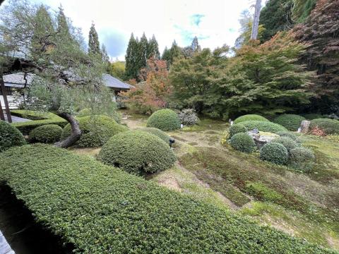 雲龍院庭園