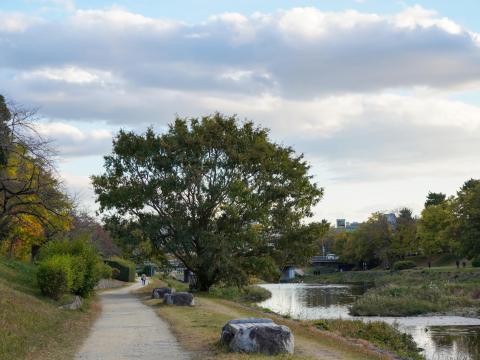 賀茂川