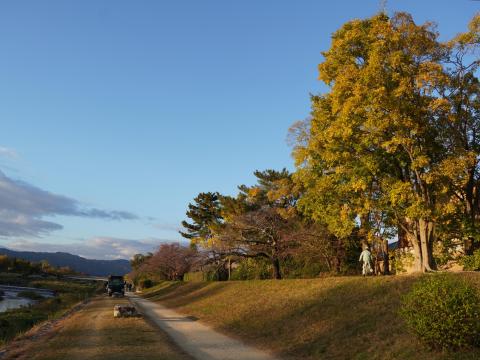 西日の賀茂川