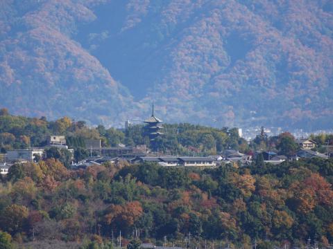 仁和寺