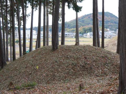杉林の古墳と畝傍山