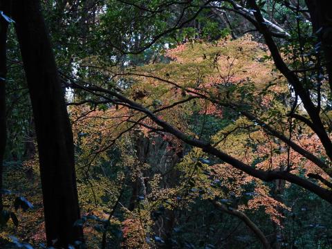 橿原公苑