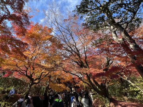 常寂光寺