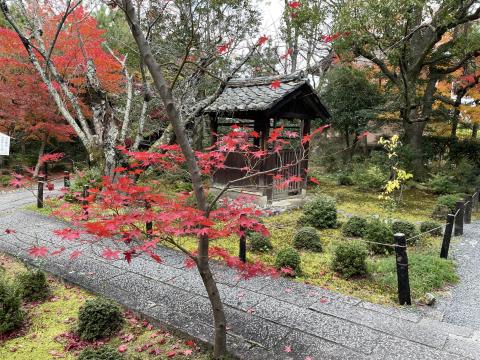 清凉寺