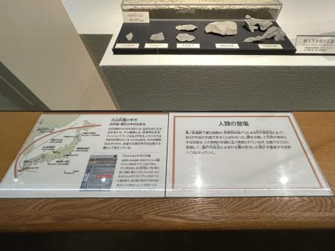 人類の登場