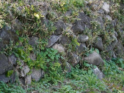 ホケノ山古墳