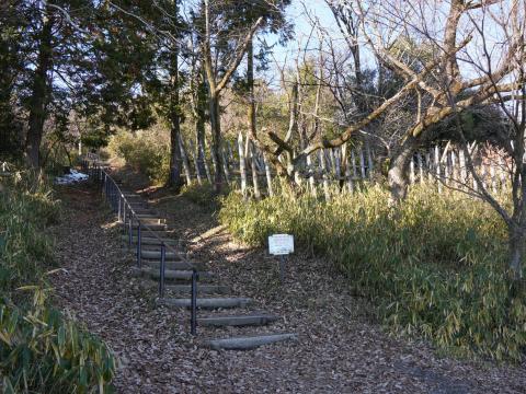 笹尾山