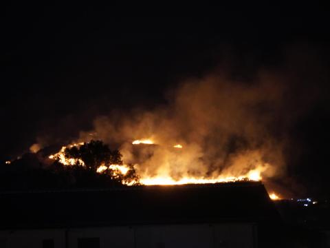 若草山焼き