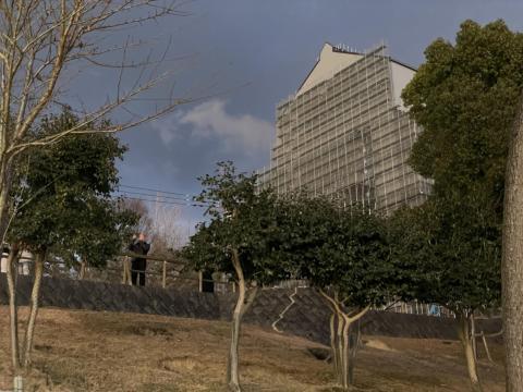 興福寺五重塔